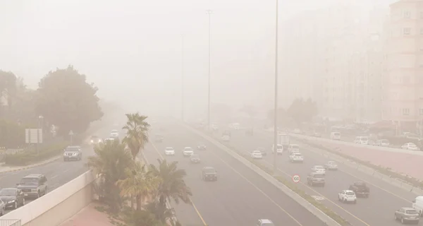  �������ϻ: ��� ����� ����� ����� ������ ������ �� ���� ���� �������.. ������� 22